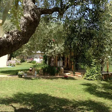 House Christie * Chrisi Ammoudia