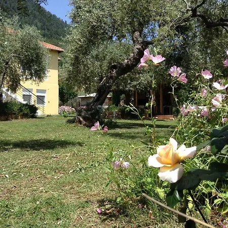 House Christie Chrisi Ammoudia