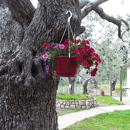 Vakantiehuis House Christie Chrysi Ammoudia