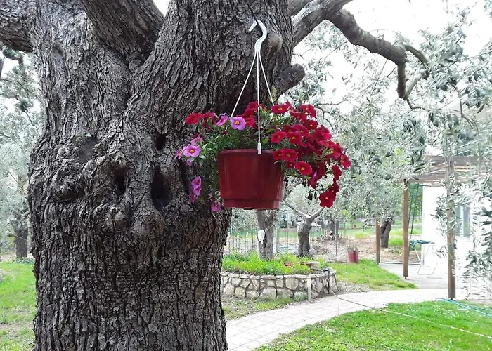 Case de vacanță House Christie Chrysi Ammoudia